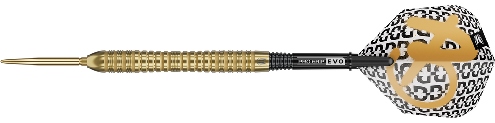 Target Bolide Envy 04 Swiss Point Steeldarts