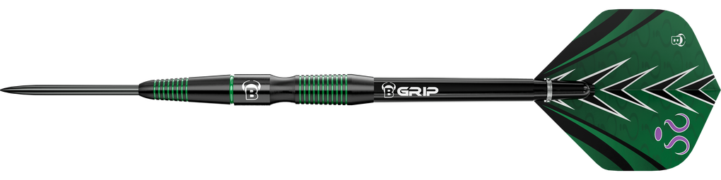 Bulls Brian Raman G2 Steeldarts