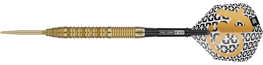 Target Bolide Envy 01 Swiss Point Steeldarts