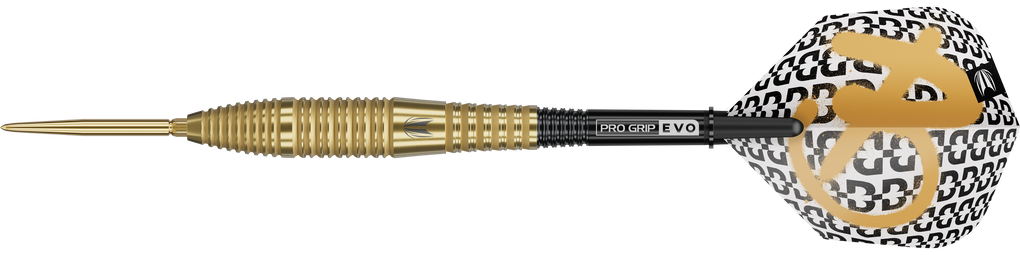 Target Bolide Envy 05 Swiss Point Steeldarts