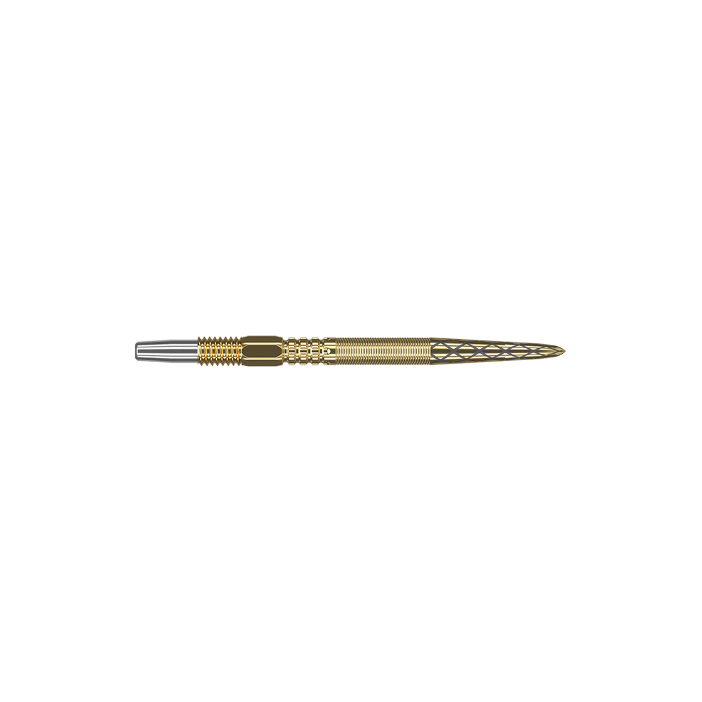 Dies ist eine goldene Dartspitze mit feinen Rillen und Mustern. Sie hat eine schlanke Form und eine silberne Spitze vorne.