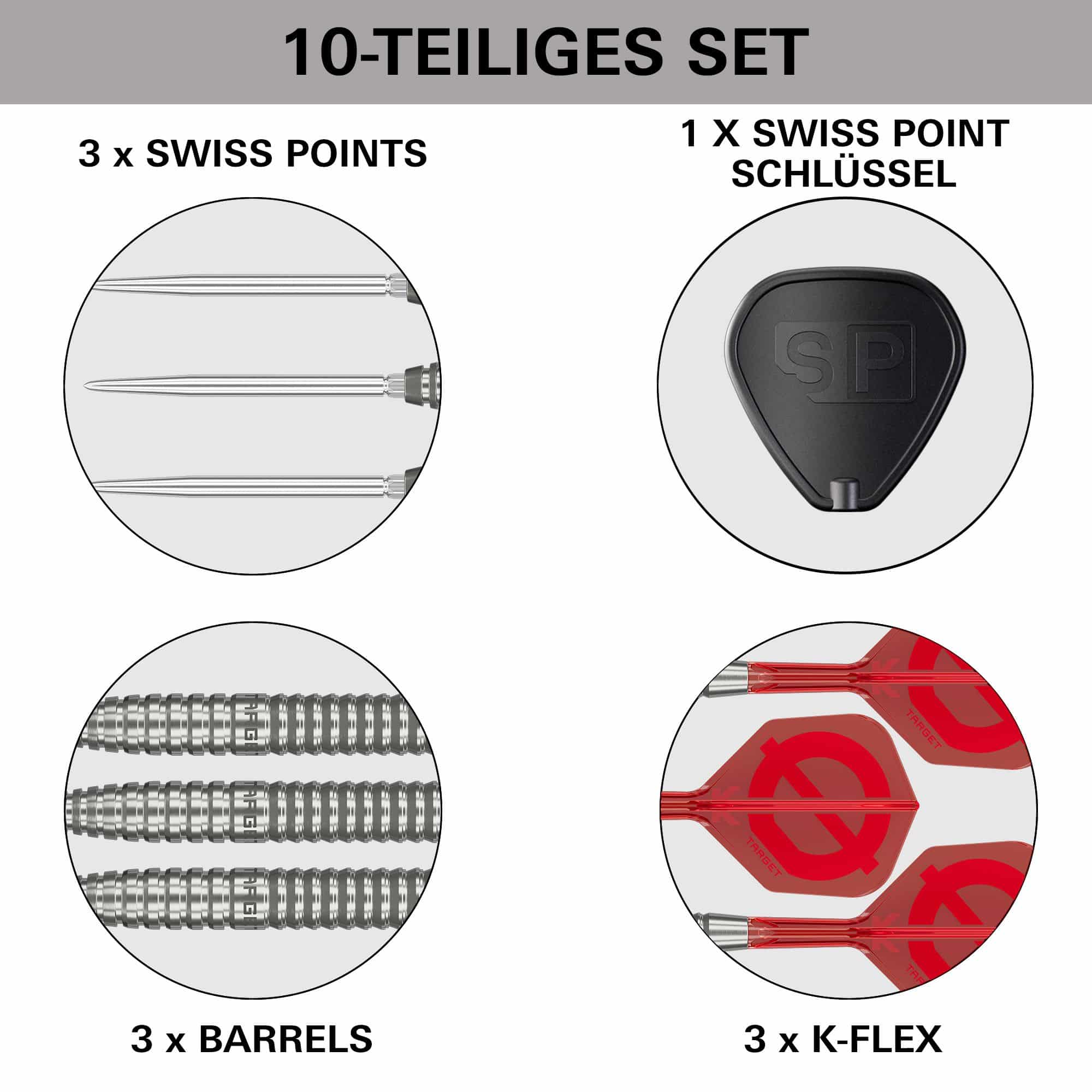 Target Group O 02 Swiss Points Steeldarts