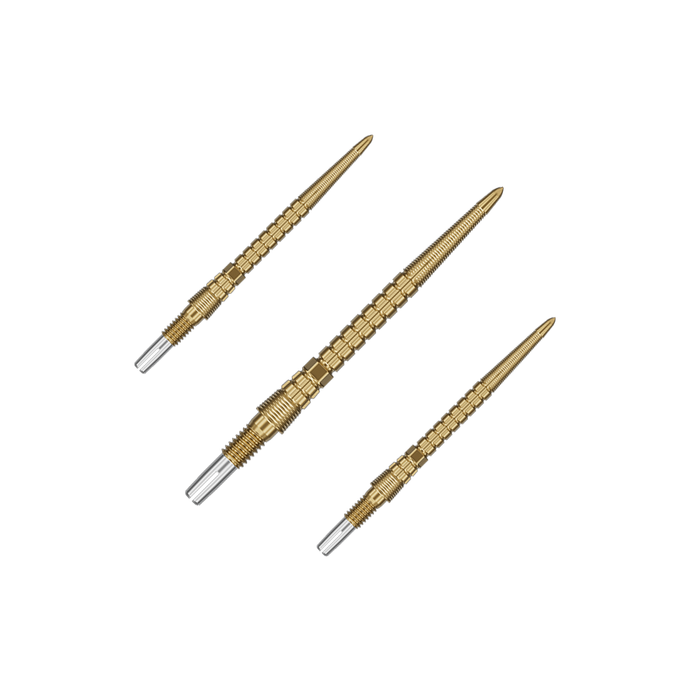 Das Set enthält mehrere goldene Dartspitzen. Sie sind gleichmäßig aufgefächert.