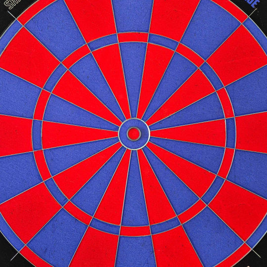 Bulls NL Shark Blue Pro Steeldartboard Bulls NL Shark Blue Pro Steeldartboard