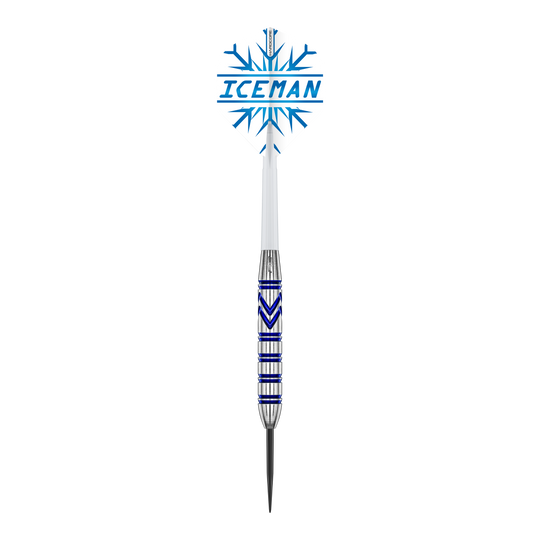 Red Dragon Gerwyn Price Brass Steeldarts - 21 g Red Dragon Gerwyn Price Brass Steeldarts - 21 g sind auf dem Foto zu sehen. Die Steeldarts zeichnen sich durch ihr elegantes Aussehen aus.