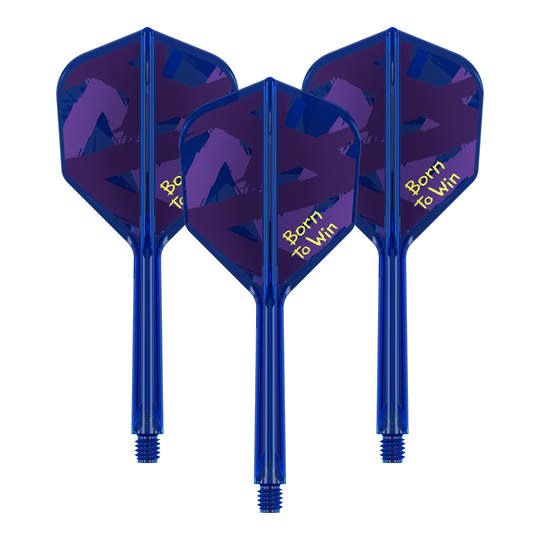Target K-Flex Luke Littler Born To Win World Champion No6 Flights