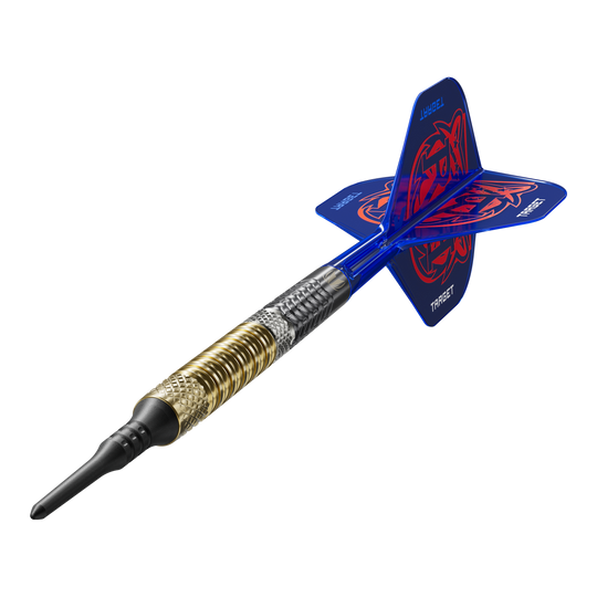 Target Raymond Van Barneveld GEN6 Softdarts Das Bild zeigt die Target Raymond Van Barneveld GEN6 Softdarts aus einer anderen Perspektive. Die Details der Softdarts sind gut erkennbar.