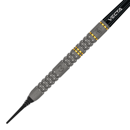 Das Bild zeigt einen Winmau Michael Van Gerwen Evo-X Softdart mit einem Gewicht von 20 Gramm. Der Dart hat ein markantes Design mit silbernen und goldenen Akzenten sowie der Aufschrift "VECTA".