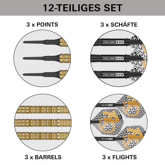 Target Bolide Envy 10 Softdarts Das Bild zeigt die Target Bolide Envy 10 Softdarts. Diese Softdarts sind für den elektronischen Dartsport entworfen.