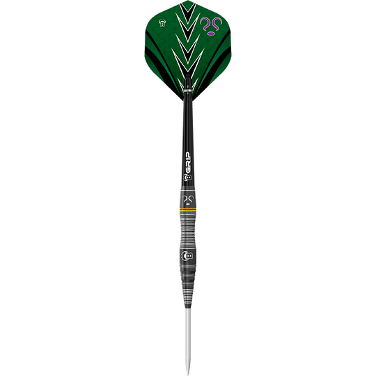 Bulls Brian Raman The Riddler Steeldarts Auf dem Bild ist ein Steeldart mit schwarzem Schaft und grüner Flight zu sehen. Auf dem Flight sind mehrere Fragezeichen und ein Pfeilmuster abgebildet.