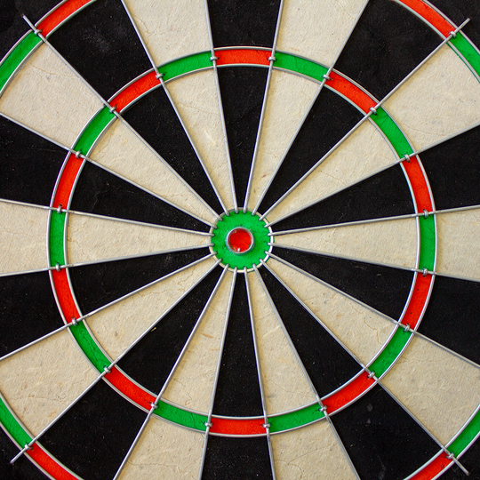 1602_Winmau_Pro_SFB_Dartboard_3 Winmau Pro SFB Dartboard frontal abgebildet. Die Segmente und Zahlen sind klar strukturiert.