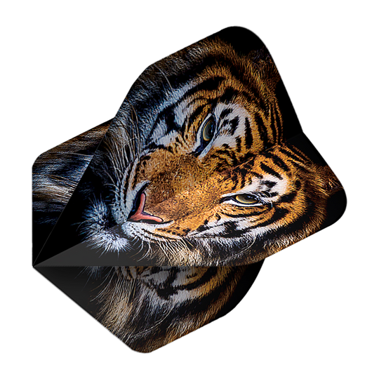 Pentathlon Flights Tiger Das Bild zeigt das Produkt "Pentathlon Tiger No2 Standard Flights". Auf den Flights ist ein realistisches Tigerkopf-Motiv abgebildet.