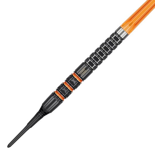 Target Raymond Van Barneveld 95K Softdarts - 20g