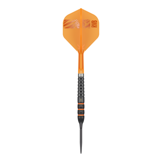Target Raymond Van Barneveld 95K Swiss Points Steeldarts Target Raymond Van Barneveld 95K Swiss Points Steeldarts